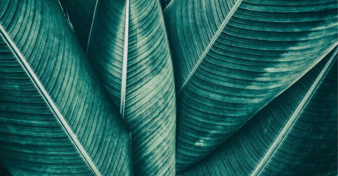 Matrix Repatterning